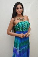 Angana Roy Gallery